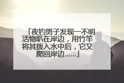 夜钓男子发现一不明活物趴在岸边，用竹竿将其拨入水中后，它又爬回岸边……