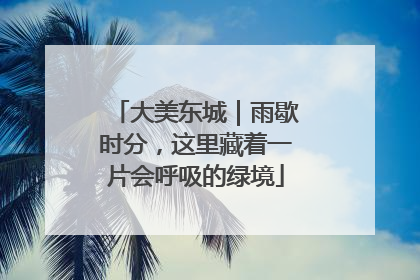 大美东城｜雨歇时分，这里藏着一片会呼吸的绿境