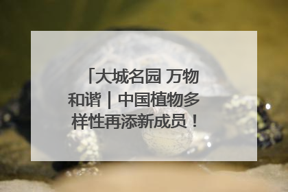 大城名园 万物和谐｜中国植物多样性再添新成员！它只在西藏墨脱