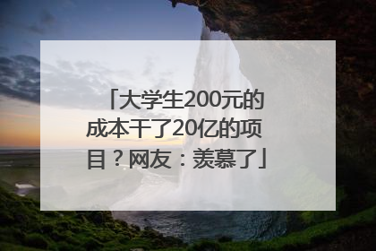 大学生200元的成本干了20亿的项目？网友：羡慕了