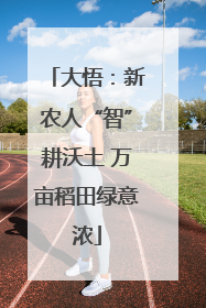 大悟：新农人“智”耕沃土 万亩稻田绿意浓