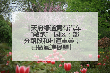 天府绿道竟有汽车“敞跑” 园区：部分路段和村道重叠，已做减速提醒