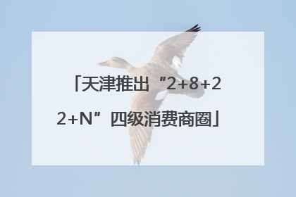 天津推出“2+8+22+N”四级消费商圈