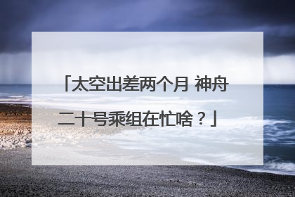 太空出差两个月 神舟二十号乘组在忙啥？