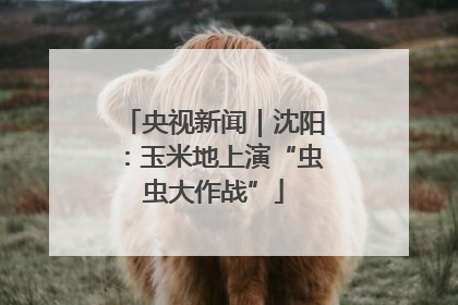 央视新闻｜沈阳：玉米地上演“虫虫大作战”