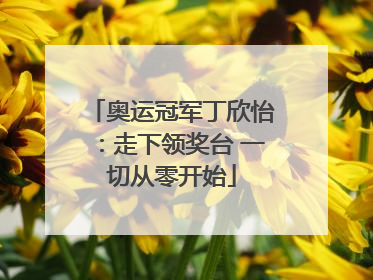 奥运冠军丁欣怡：走下领奖台 一切从零开始