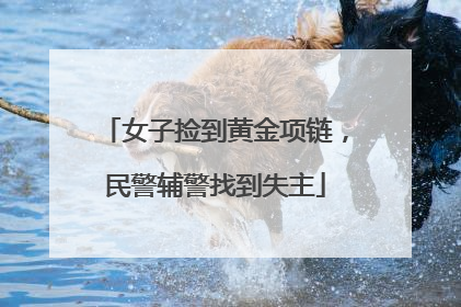 女子捡到黄金项链，民警辅警找到失主