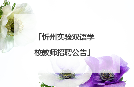 忻州实验双语学校教师招聘公告