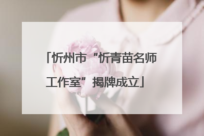 忻州市“忻青苗名师工作室”揭牌成立