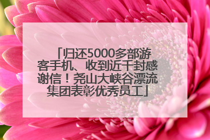 归还5000多部游客手机、收到近千封感谢信！尧山大峡谷漂流集团表彰优秀员工