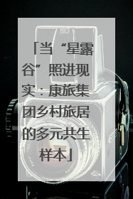 当“星露谷”照进现实：康旅集团乡村旅居的多元共生样本