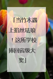 当竹木遇上掐丝珐琅！这所学校捧回省级大奖