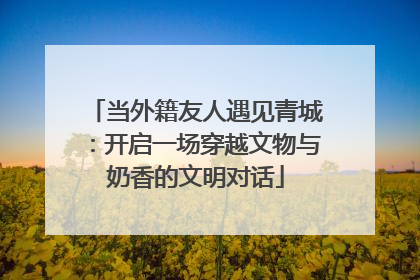 当外籍友人遇见青城：开启一场穿越文物与奶香的文明对话