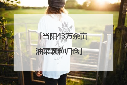 当阳43万余亩油菜颗粒归仓