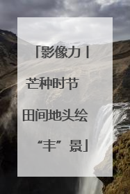 影像力丨芒种时节 田间地头绘“丰”景