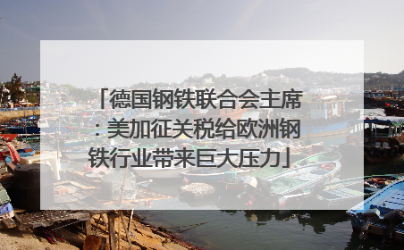 德国钢铁联合会主席：美加征关税给欧洲钢铁行业带来巨大压力