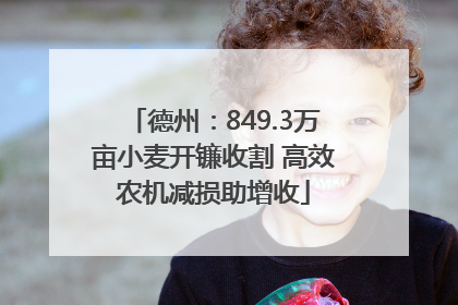 德州：849.3万亩小麦开镰收割 高效农机减损助增收