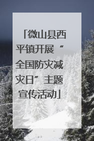 微山县西平镇开展“全国防灾减灾日”主题宣传活动