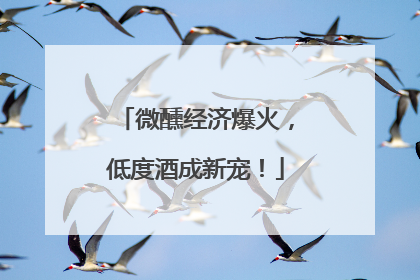 微醺经济爆火，低度酒成新宠！