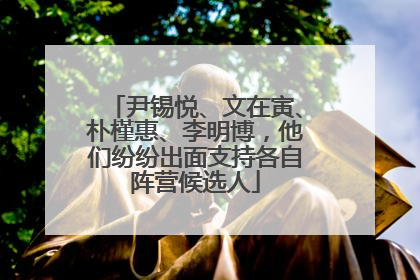 尹锡悦、文在寅、朴槿惠、李明博，他们纷纷出面支持各自阵营候选人
