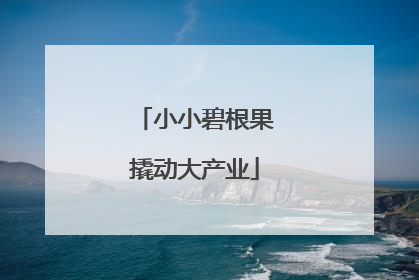 小小碧根果撬动大产业