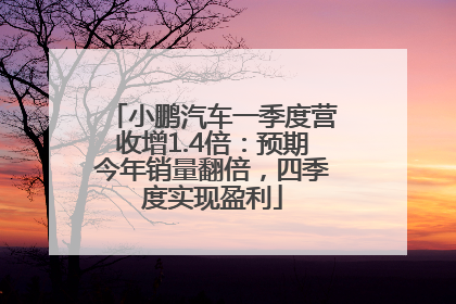 小鹏汽车一季度营收增1.4倍：预期今年销量翻倍，四季度实现盈利