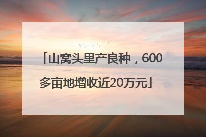山窝头里产良种，600多亩地增收近20万元