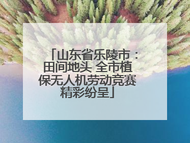 山东省乐陵市：田间地头 全市植保无人机劳动竞赛精彩纷呈