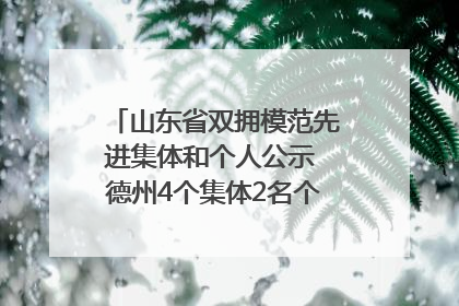 山东省双拥模范先进集体和个人公示 德州4个集体2名个人拟受表彰