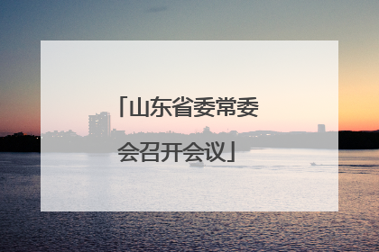 山东省委常委会召开会议