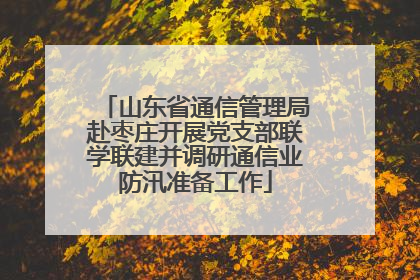 山东省通信管理局赴枣庄开展党支部联学联建并调研通信业防汛准备工作