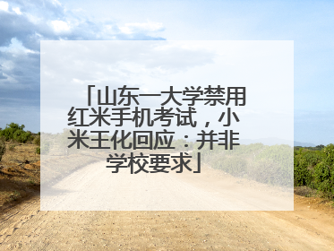 山东一大学禁用红米手机考试，小米王化回应：并非学校要求