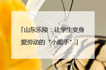 山东乐陵：让学生变身爱劳动的“小能手”