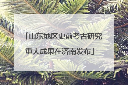 山东地区史前考古研究重大成果在济南发布