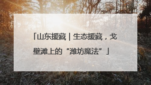 山东援藏｜生态援藏，戈壁滩上的“潍坊魔法”