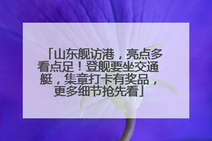 山东舰访港，亮点多看点足！登舰要坐交通艇，集章打卡有奖品，更多细节抢先看