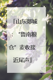 山东郯城：“鲁南粮仓”麦收接近尾声
