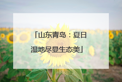 山东青岛：夏日湿地尽显生态美