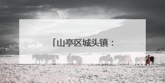 山亭区城头镇：以花为笺，致敬最美“她力量”