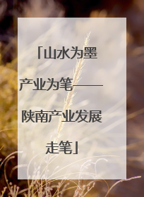 山水为墨 产业为笔——陕南产业发展走笔