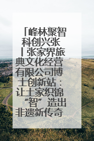 峰林聚智 科创兴张丨张家界旅典文化经营有限公司博士创新站：让土家织锦“智”造出非遗新传奇