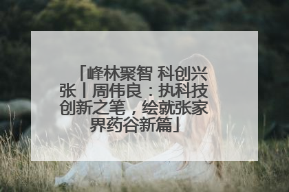 峰林聚智 科创兴张丨周伟良：执科技创新之笔，绘就张家界药谷新篇