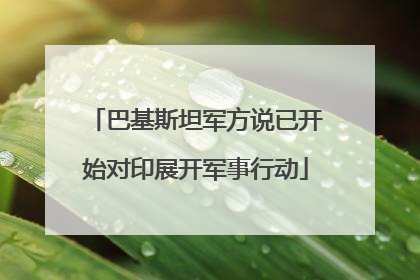 巴基斯坦军方说已开始对印展开军事行动