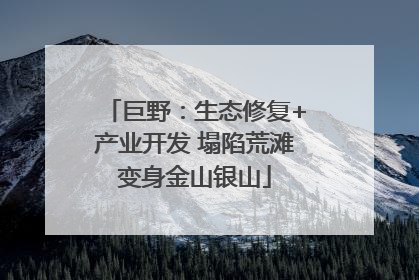 巨野：生态修复+产业开发 塌陷荒滩变身金山银山