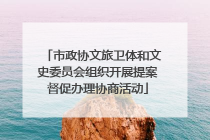 市政协文旅卫体和文史委员会组织开展提案督促办理协商活动