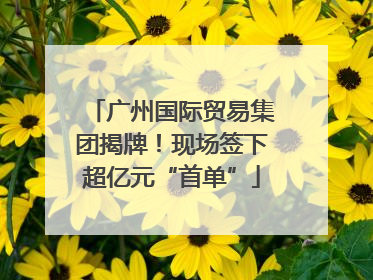 广州国际贸易集团揭牌！现场签下超亿元“首单”