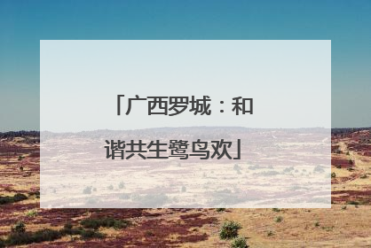 广西罗城：和谐共生鹭鸟欢