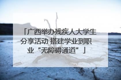 广西举办残疾人大学生分享活动 搭建学业到职业“无障碍通道”