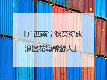 广西南宁秋英绽放 浪漫花海醉游人