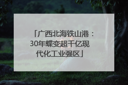 广西北海铁山港：30年蝶变超千亿现代化工业强区